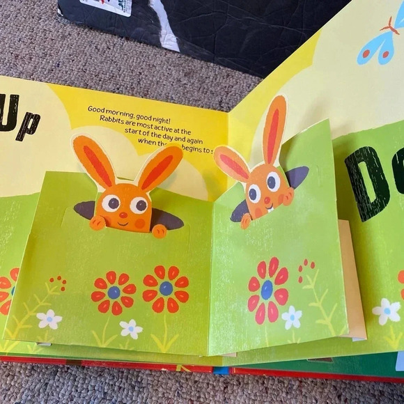 Farm Pop Up Book Bob Daly & Richard Ferguson Scholastic For Ages 3+ - Picture 5 of 7